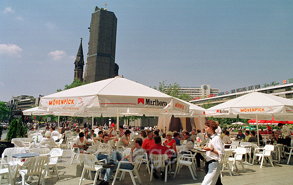 00A00706ACARO.JPG
