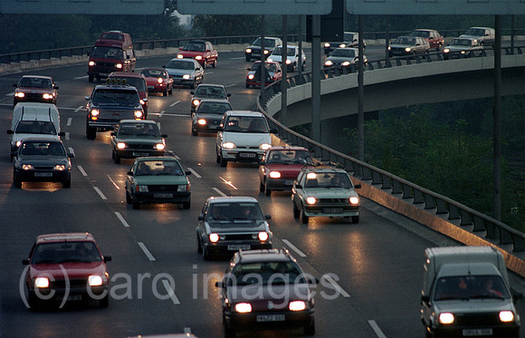 00A06401ACARO.JPG