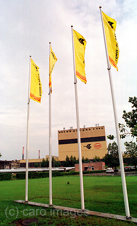 00A01225CAROE.JPG