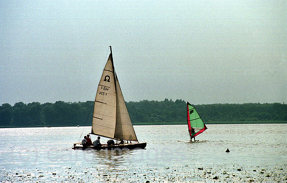 00A01229CAROE.JPG