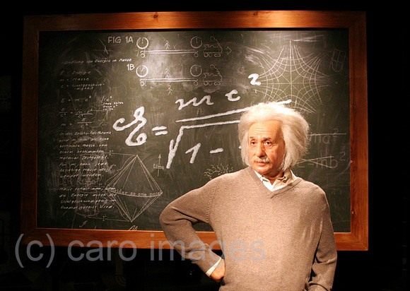00S090215D805CARO.JPG