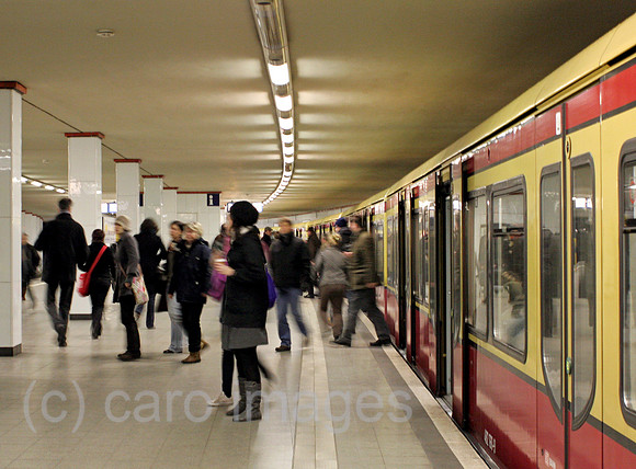 00S090215D832CARO.JPG