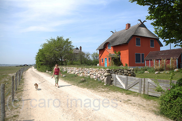 0HX120522D178CARO.JPG
