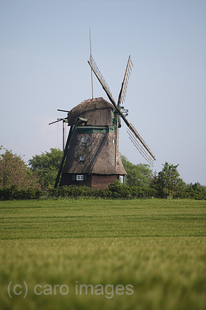 0HX120522D301CARO.JPG