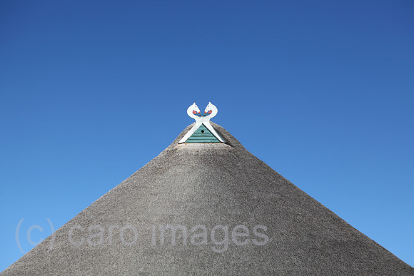0HX120524D205CARO.JPG