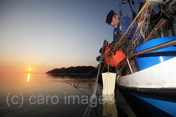 0HX120703D259CARO.JPG