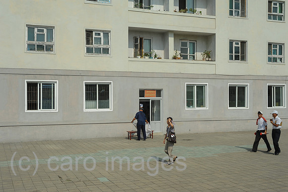 0SL120808D151CAROEX.JPG