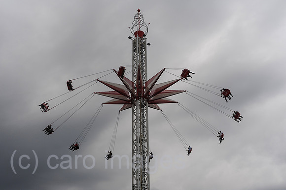 0SL120814D030CAROEX.JPG