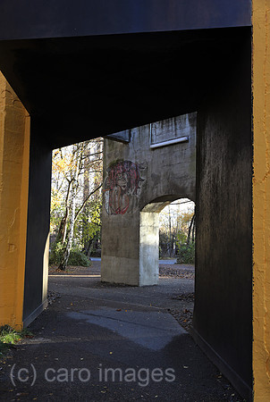 00S161120D804CAROEX.JPG