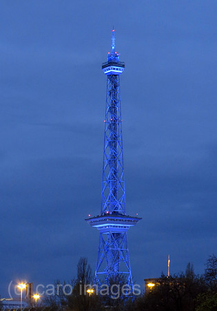 00S160419D800CAROEX.JPG