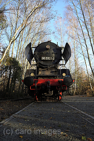 00S161120D806CAROEX.JPG