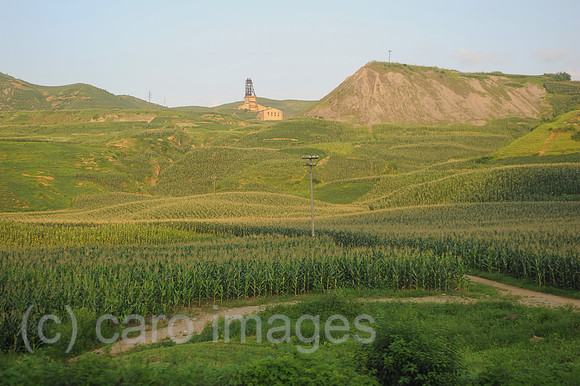 0SL120807D074CAROEX.JPG