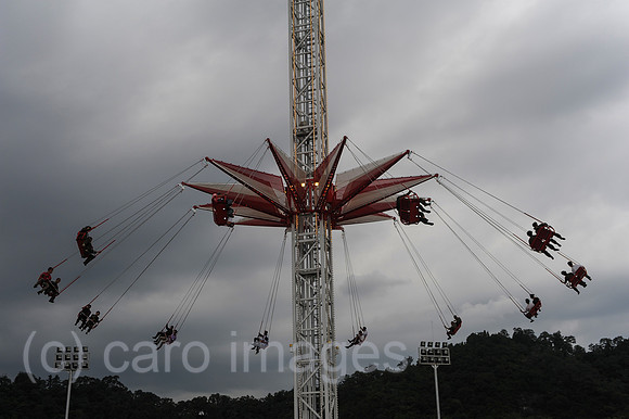 0SL120814D050CAROEX.JPG