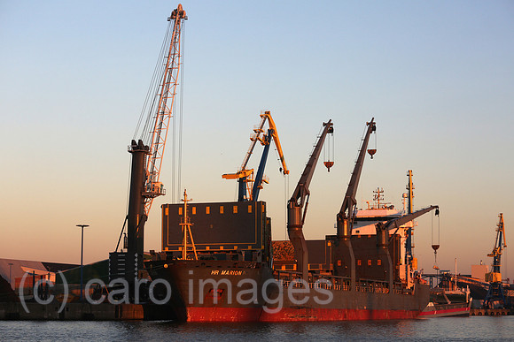00S161230D136CAROEX.JPG