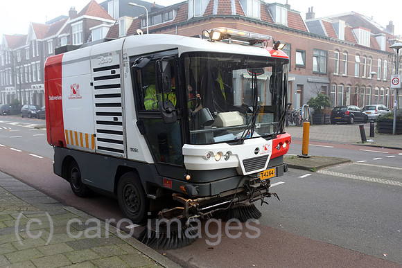 00S160101D029CAROEX.JPG