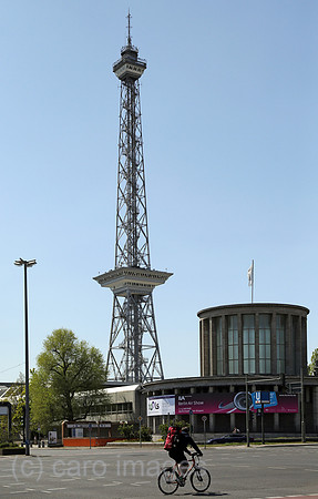 00S160505D854CAROEX.JPG