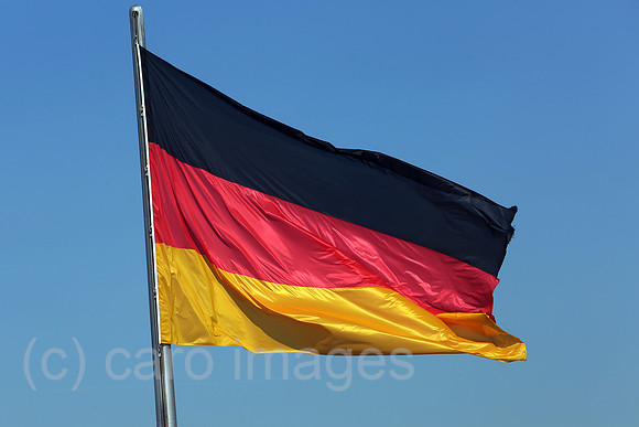 00S160831D031CAROEX.JPG
