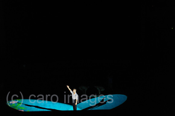 0SL120814D047CAROEX.JPG