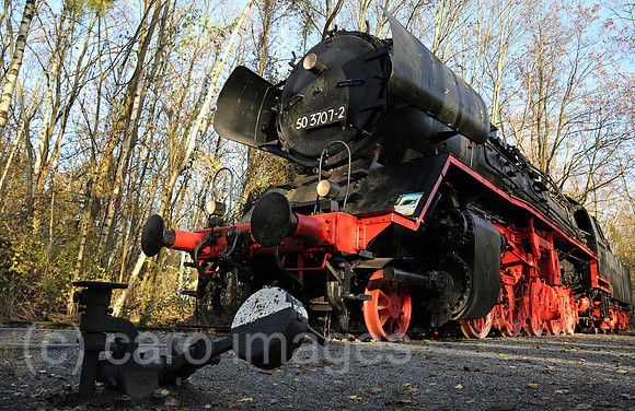 00S161120D807CAROEX.JPG
