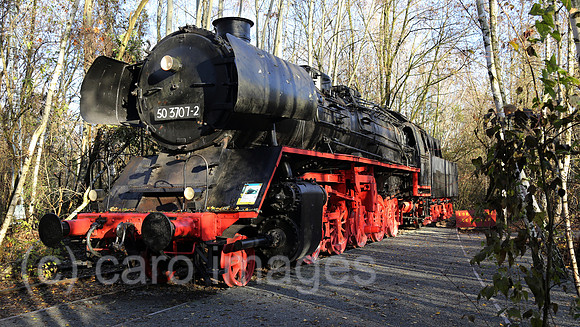 00S161120D810CAROEX.JPG