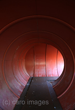 00S161120D813CAROEX.JPG