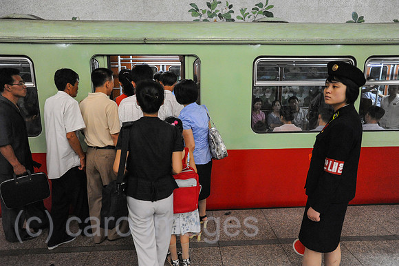0SL120809D085CAROEX.JPG