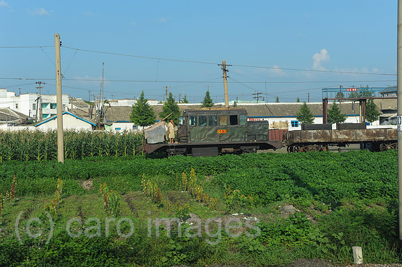 0SL120807D072CAROEX.JPG
