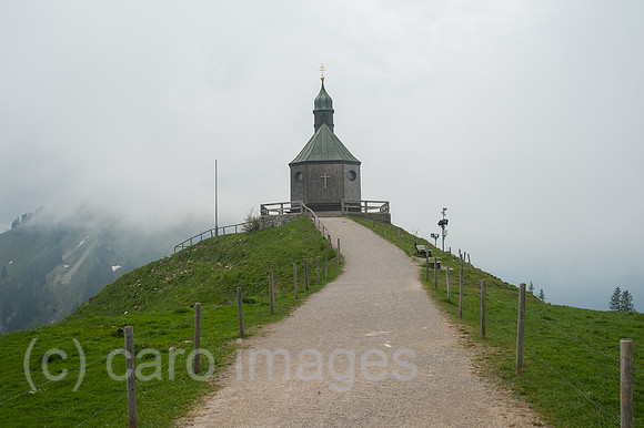 0SL160529D041CAROEX.JPG