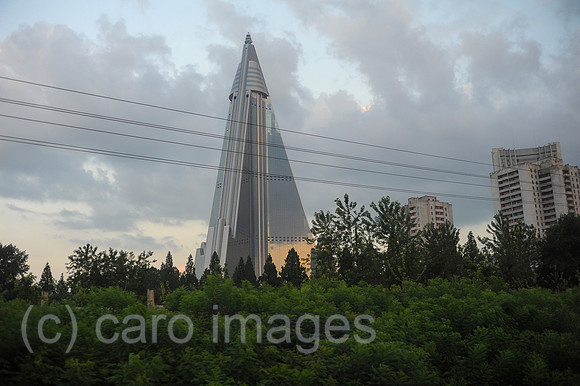 0SL120807D075CAROEX.JPG
