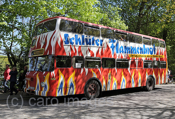00S160505D851CAROEX.JPG