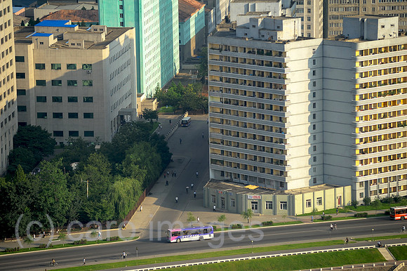 0SL120807D062CAROEX.JPG
