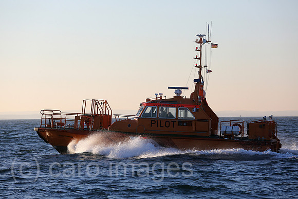00S161230D121CAROEX.JPG