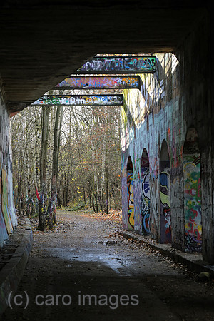 00S161120D830CAROEX.JPG