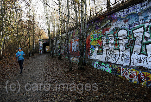 00S161120D826CAROEX.JPG