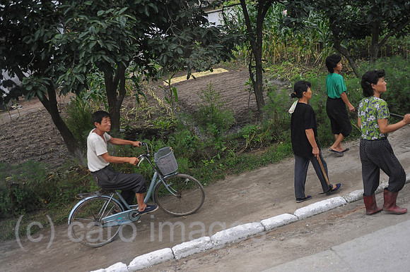 0SL120812D044CAROEX.JPG
