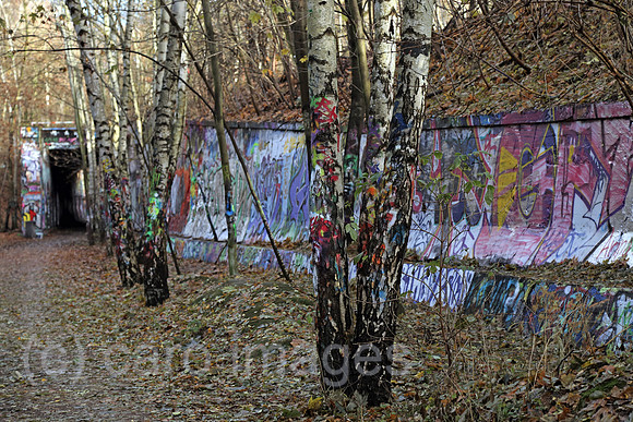 00S161120D817CAROEX.JPG