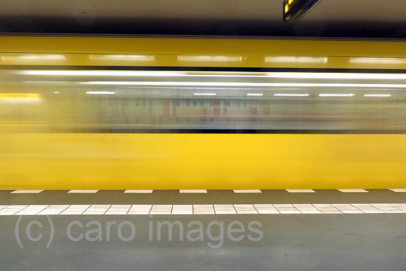 00S160418D800CAROEX.JPG