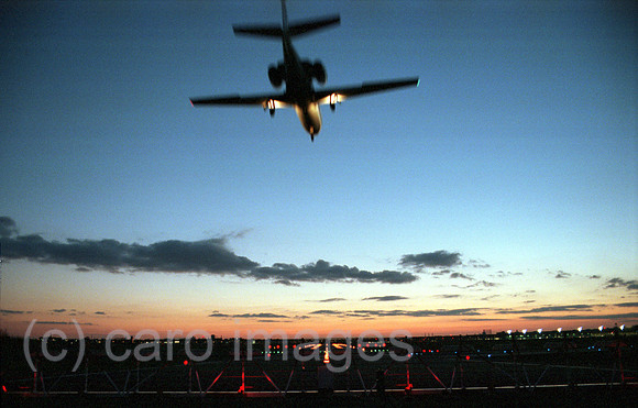 00A81231ACARO.JPG