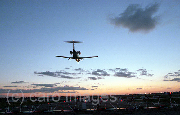 00A81217ACARO.JPG