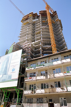 00A81731ACAROE.JPG