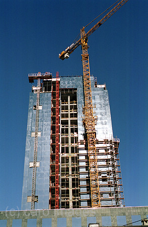00A82105ACAROE.JPG