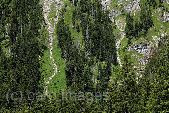 00P110726D164CAROE.JPG