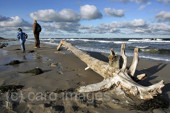 00S051121D006CAROE.JPG
