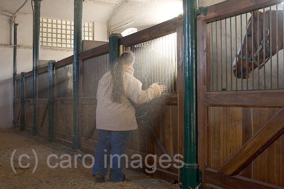 00S051126D002CARO.JPG