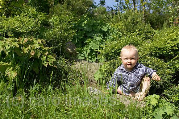 0KH050526D002CARO.JPG