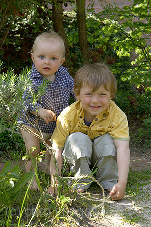 0KH050526D007CARO.JPG
