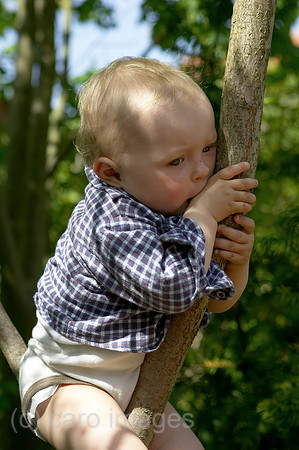0KH050526D018CARO.JPG