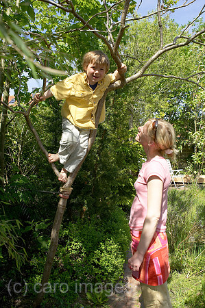 0KH050526D022CARO.JPG