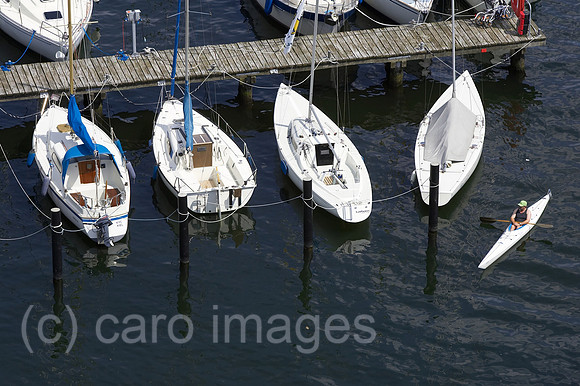 0KH050626D010CARO.JPG