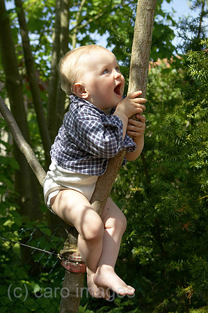 0KH050526D017CARO.JPG